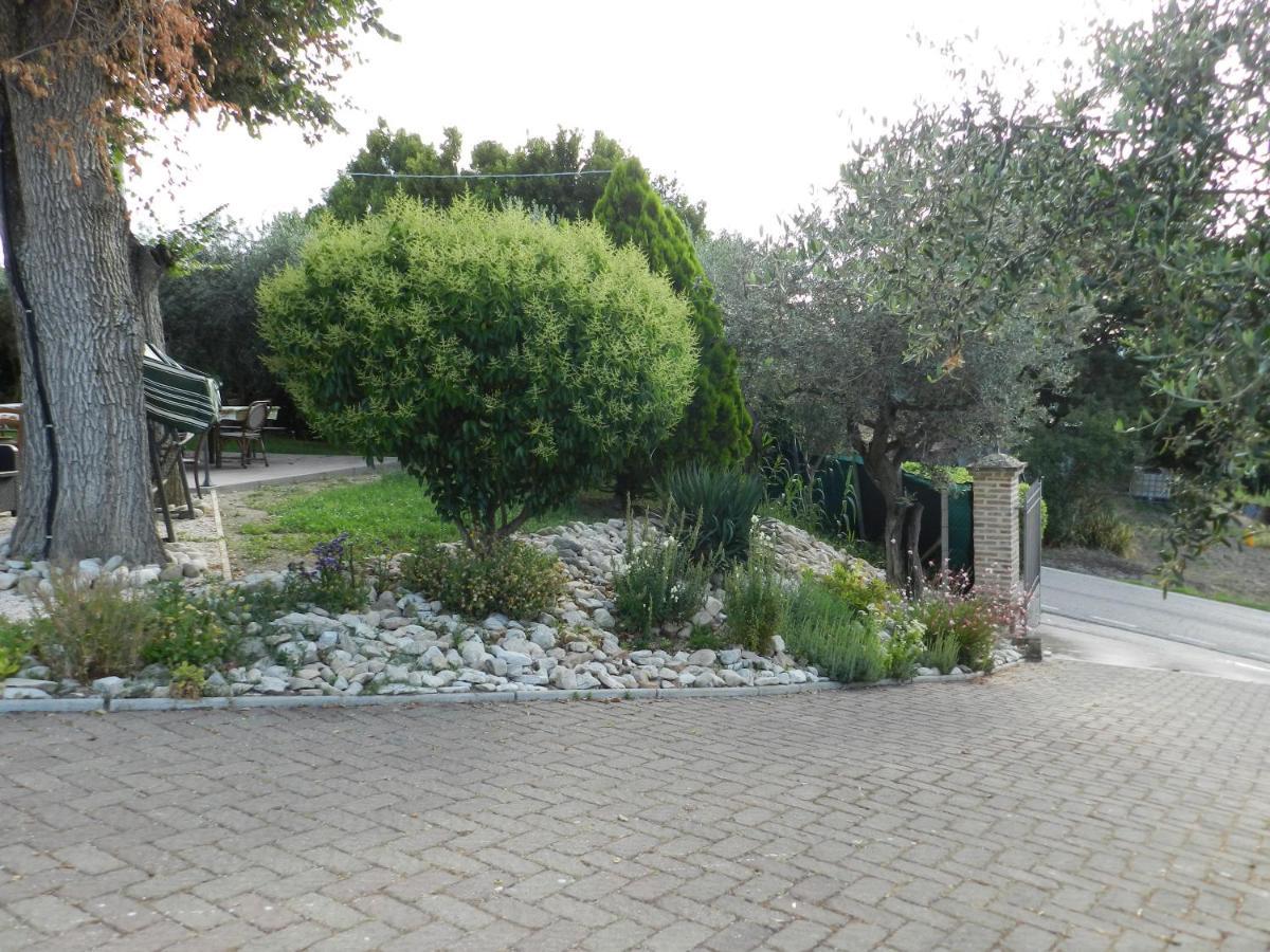 Il Cantinoccio B&B Cerasolo Buitenkant foto